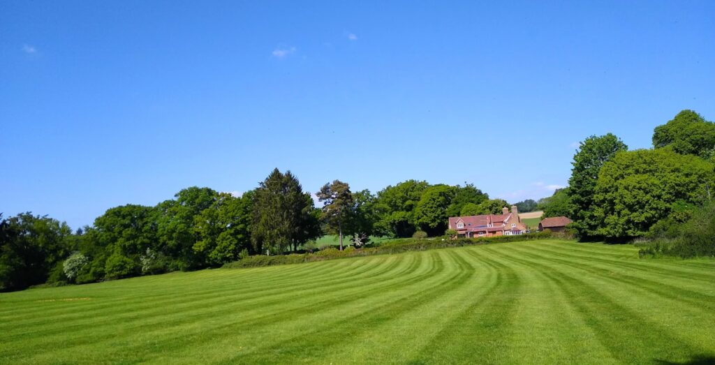 Green lawns in front of suburban homes on a sunny day