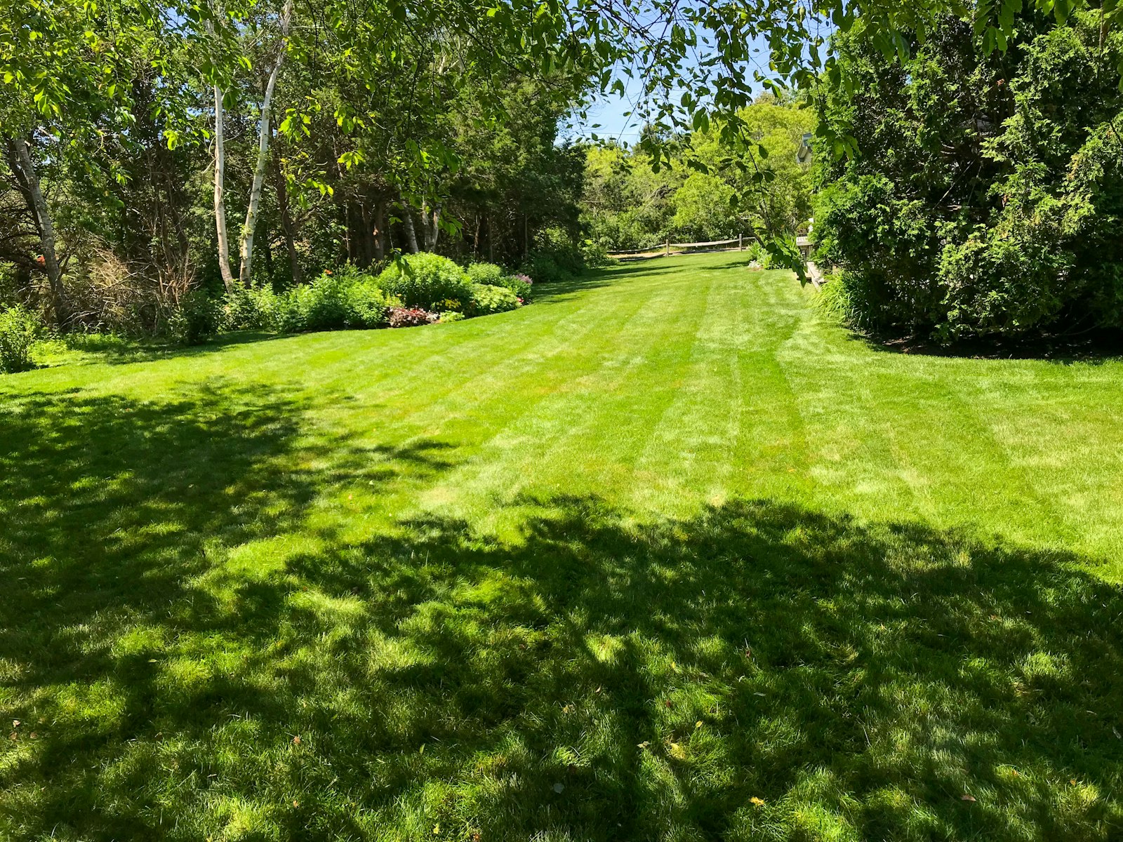 Cordero Lawn Care work gallery