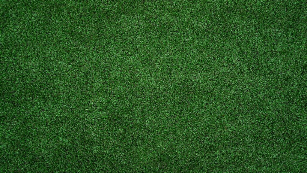Close-up texture of thick healthy green turf grass