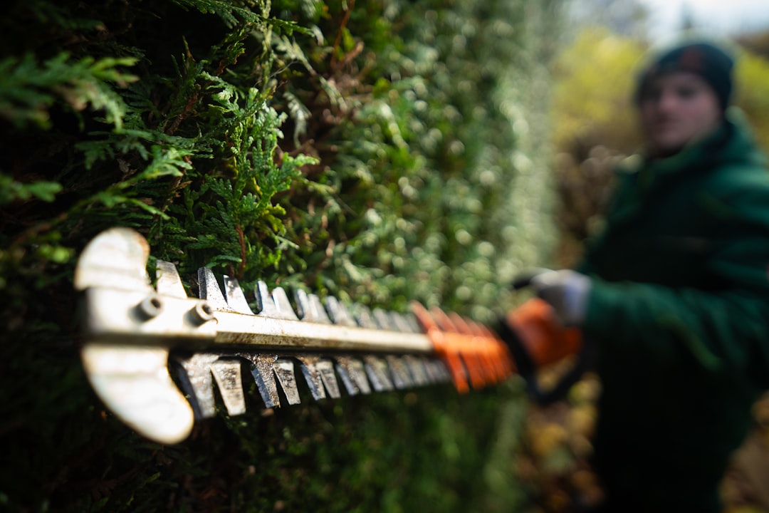 Shrub Pruning & Trimming