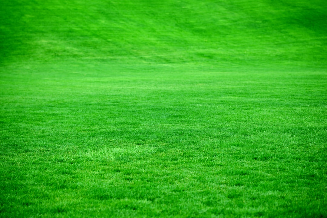 Sod & Topsoil